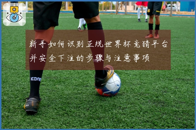 新手如何识别正规世界杯竞猜平台并安全下注的步骤与注意事项
